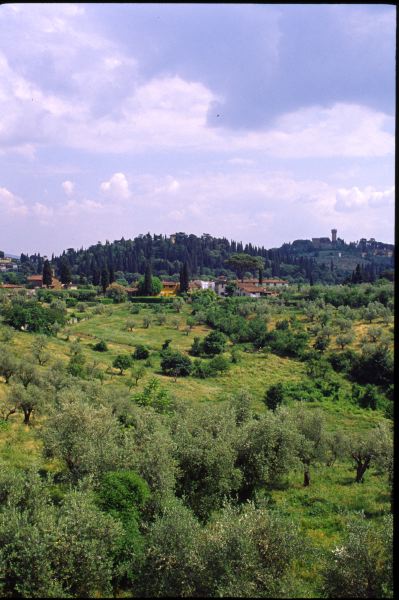 Italy(Florence)---K0005