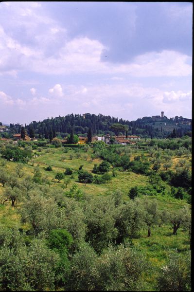 Italy(Florence)---K0005