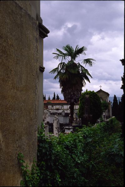 Italy(Florence)---M0023