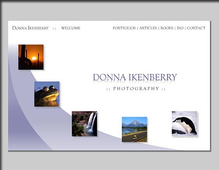 Donna Ikenberry website