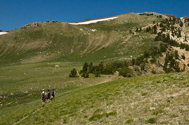 Deseret Peak Saddle